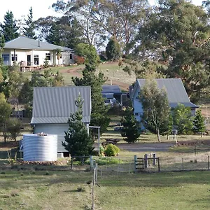 Heimat Hobart